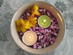 Read more about the article אנרגית הפרחים והשפעתם על הנפש